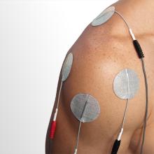 CroppedImage220220-shutterstock-148584662